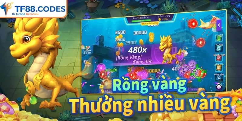 Cách chinh phục Dragon Zuma dễ dàng cho người mới