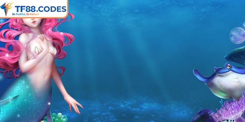 Tổng quan sơ lược về Dragon Zuma TF88