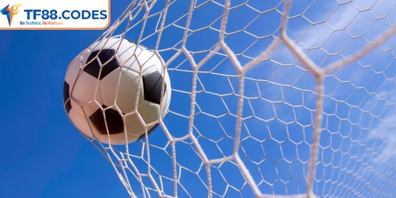 Tìm hiểu thông tin về cược rung châu Á