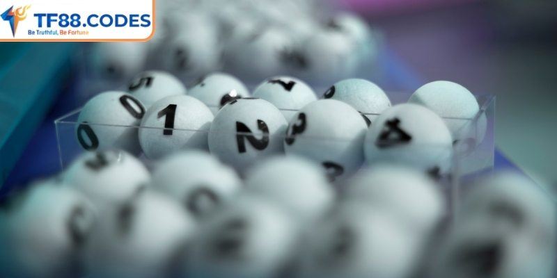 Đôi nét đặc điểm nổi bật về lô gan TF88