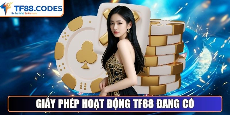 Các loại giấy phép hoạt động TF88 đang có
